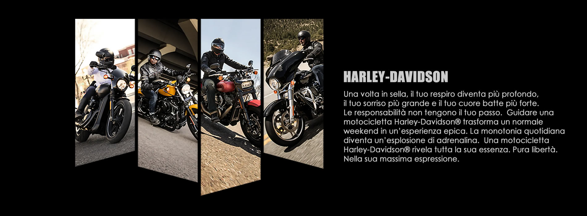 Harley-Davidson 2020