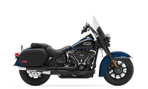 Cruiser Gamma 2022