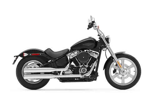 Cruiser Gamma 2022