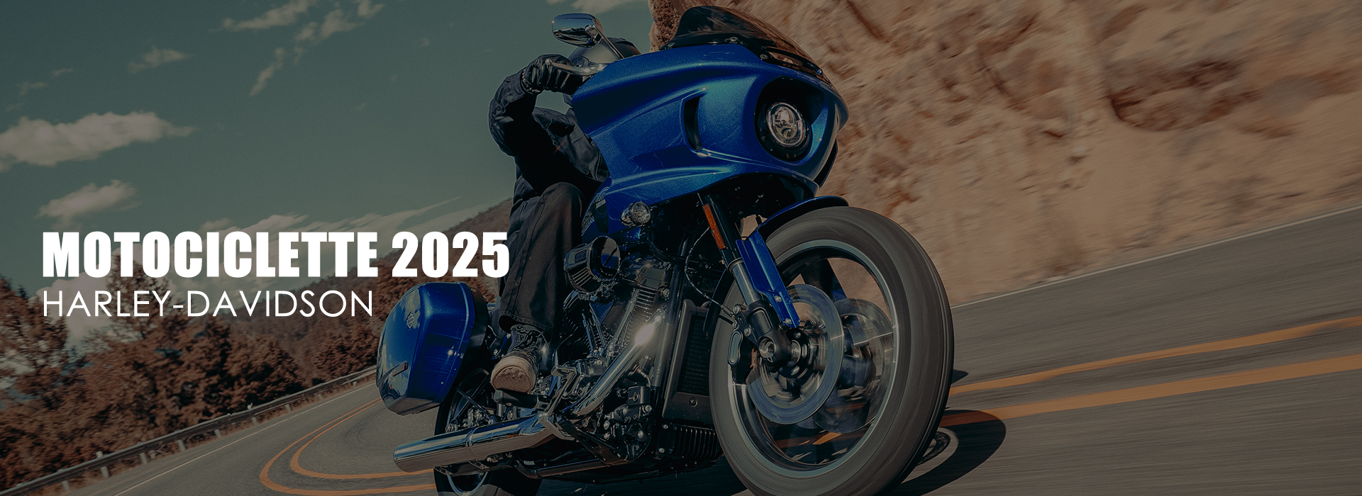 Harley-Davidson 2025